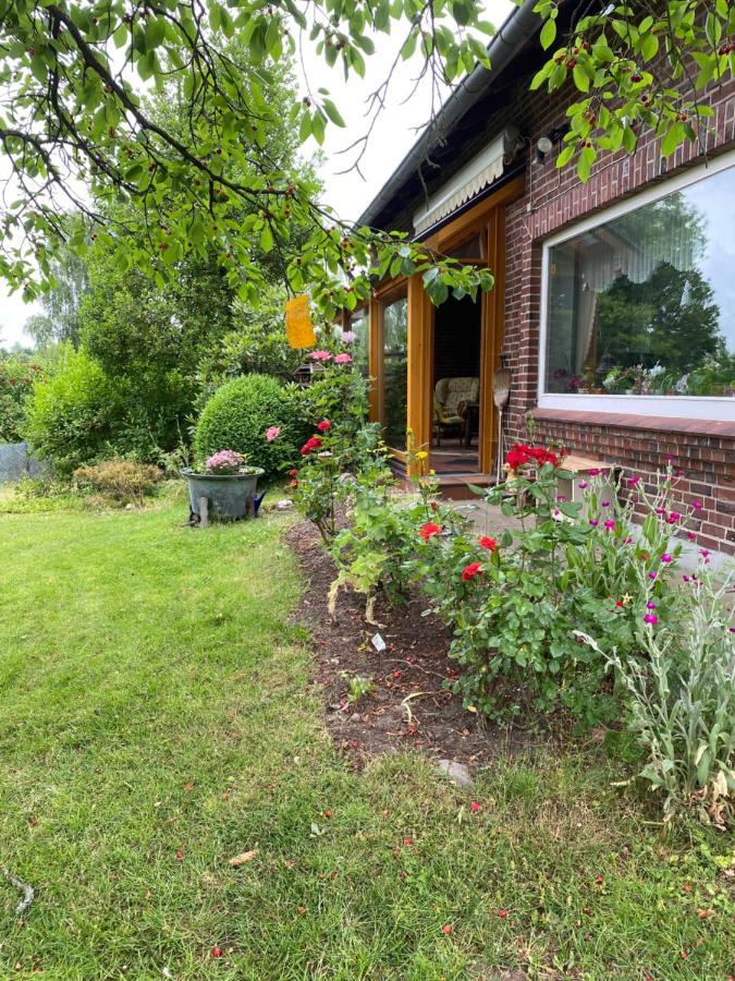 Ferienwohnung Wegener Neetze Exteriör bild